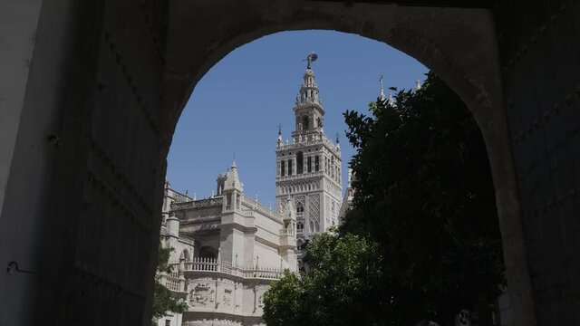 Cathedral of Seville on a sunny day among the trees