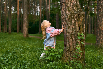 little girl girl looking up along a tree trunk seeing a bird or squirrel