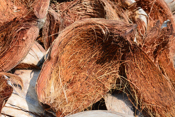 Dried coconut shell

