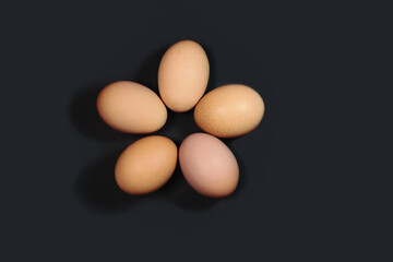 Chicken eggs on gray background