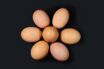 Chicken eggs on gray background
