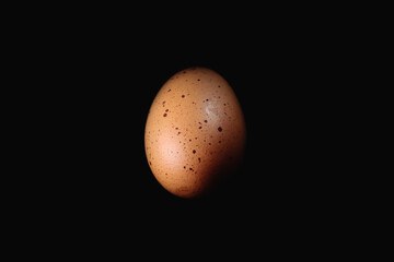 Chicken eggs on black background