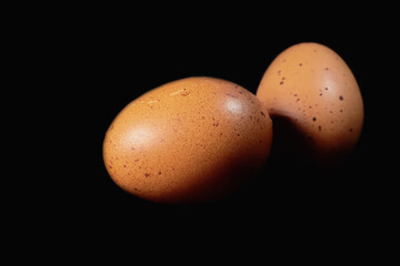 Chicken eggs on black background
