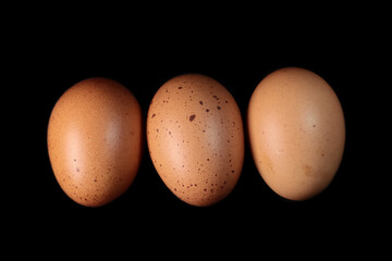 Chicken eggs on black background