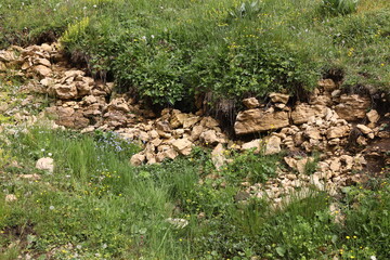 Stones of the swiss Jura