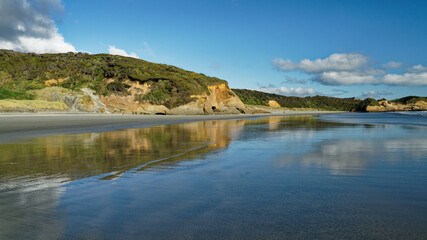 Fototapeta na wymiar Wharariki Beach, Golden Bay, New Zealand.