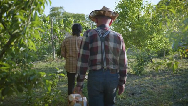 family walk, friendly cheerful relatives grandson with grandparents in a straw hat and a picnic basket in their hands go in a green garden for a picnic among trees on a sunny day