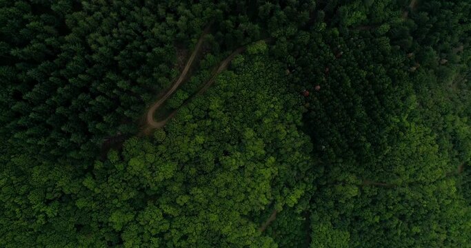 River and forest in the Pyreneans mountains, drone plan