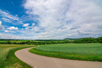 rural road in the field