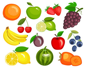 set of fruits, vector graphics in cartoon style isolated on white background.