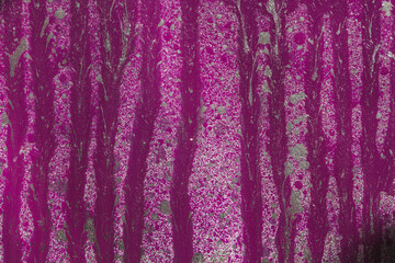 abstract oil paint texture on canvas, background