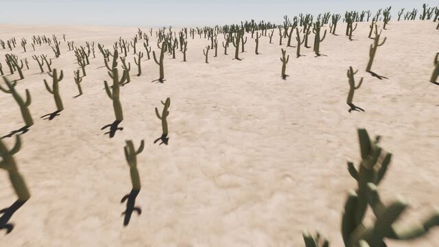 Cactus sand hot desert Natural landscape 4k