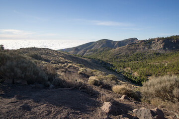Tenerife island road to El Teide nature reserve Canary islands Spain
