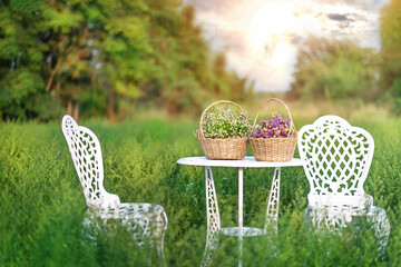 white park bench chair