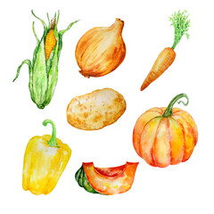 watercolor set of vegetables