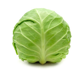 Fototapeta premium cabbage isolated on white background