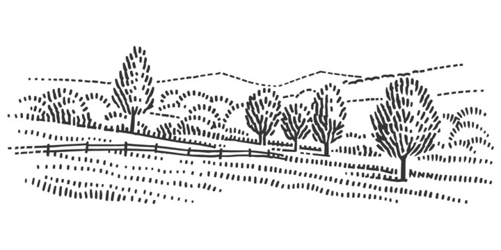 recommend clip art: Farmland pasture line illustration, nature landscape.  Vector, isolated. 
