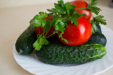 A fresh tomatoes, sliced cucumbers and sprig of parsley on the white plate on the light table. Seasoning vegetables on a table. Healthy ingredient for salad.