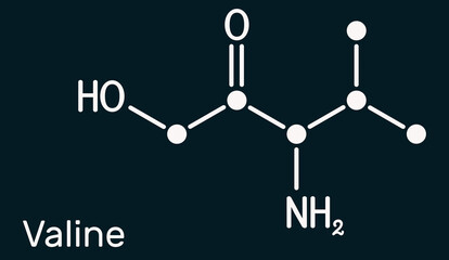 Valine, Val, L-valine amino acid molecule. It is used in the biosynthesis of proteins. Structural chemical formula