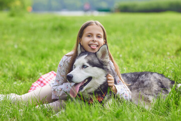 Naklejka na ściany i meble Teen girl smiling hugs a husky dog lying on green grass on summer nature.