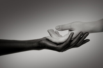 The black hand holds the white hand in its palm, turned palm up. Black-and-white photo, close-up. The concept of inter-racial friendship, the fight against racism