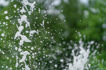 splashing water on a background of green trees