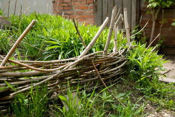 Old wicker from branches hedge for flower beds with green grass