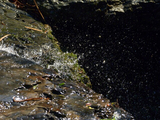 Dettagli di gocce d'acqua di un ruscello.