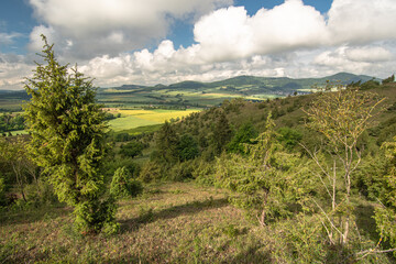 Landschaft in Nordhessen 8