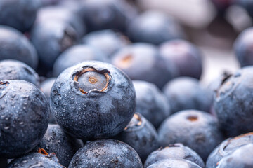 Freshly picked blueberries close up picture