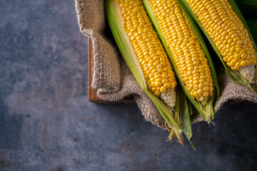 Corn cobs on burlap sack.
