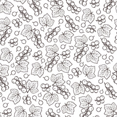 Fototapeta premium BLACK CURRANT MONOCHROME Benefits Berry Nature Hand Drawn Seamless Pattern Vector Illustration For Print Fabric and Decoration