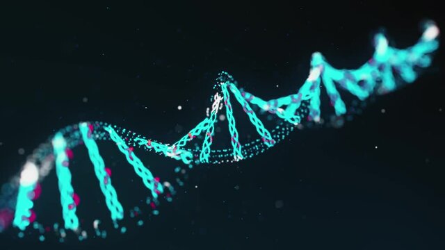 DNA Animation 4K