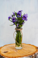Pansies are blooming. Purple flowers in a glass vase on a white background and a wooden cut. Still-life.