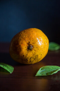 Single Alphonso Mango against Dark Background.