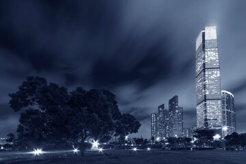 Skyline of downtown of Hong Kong city at night
