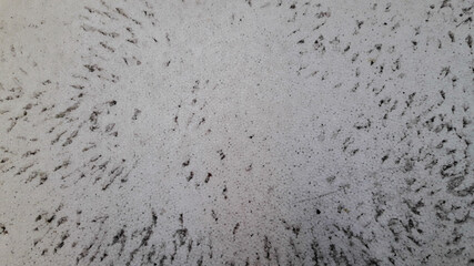 concrete wall texture background