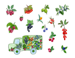 a set of drawings of the berries and the machine