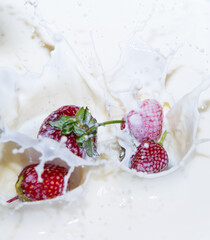 Strawberries falling into milk, spray, close up