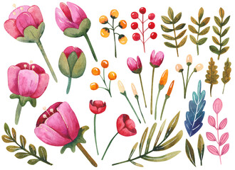 Obraz premium set of flowers and leaves and buds in watercolor on a white background