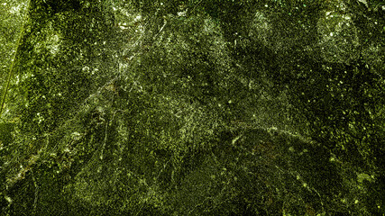 abstract background of green moss