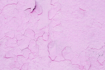 The texture of cracked bright pink paint shot close-up. There is a place for text.
