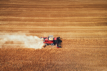 Fototapeta premium Combine harvester agriculture machine harvesting golden ripe wheat field