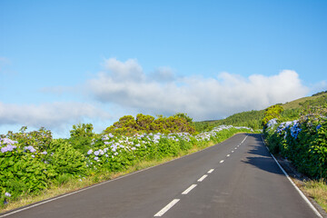 Walk on the Azores archipelago. Discovery of the island of Pico, Azores. Madalena