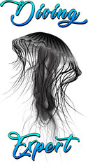 Diving Expert Jellyfish Hand Drawn Digital Illustration