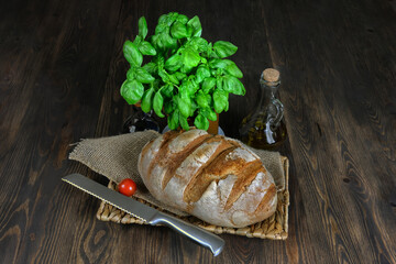 Fresh baked loaf of bread on wooden rustic board accompanied by knife,  basil bush and bottle of...