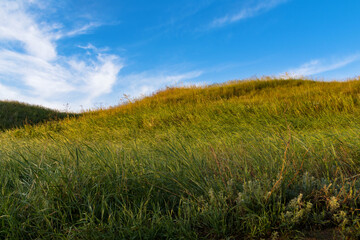 Fototapeta na wymiar The slope of a green grassy hill against the clean blue limitless sky