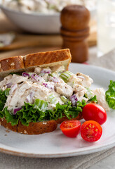Chicken Salad Sandwich on Whole Grain Bread