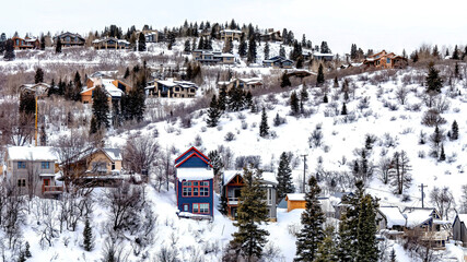 Panorama Snowy hill landscape with houses amid conifers and leafless trees in winter