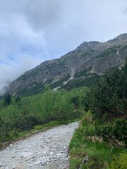 road in the mountains